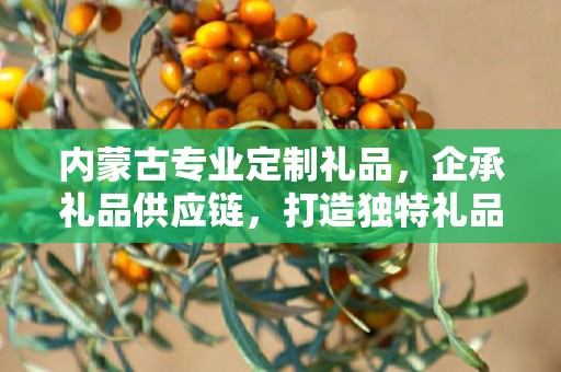 内蒙古专业定制礼品，企承礼品供应链，打造独特礼品定制体验